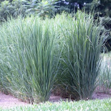 небо прерий